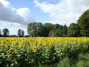 Bramscher Herbstausflug 698